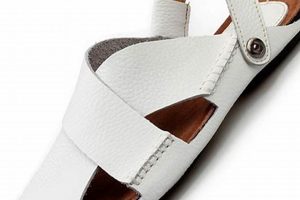 Comfortable and Stylish Men's White Slides for Any Occasion School Finder US: Find the Best Schools Near You – Compare & Explore Now Comfortable and Stylish Men's White Slides for Any Occasion | School Finder US: Find the Best Schools Near You – Compare & Explore Now