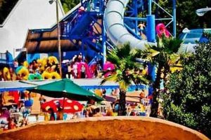 Splash into Thrilling Water Adventures at Redding Water Slides! School Finder US: Find the Best Schools Near You – Compare & Explore Now Splash into Thrilling Water Adventures at Redding Water Slides! | School Finder US: Find the Best Schools Near You – Compare & Explore Now