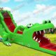 Dive into Excitement: Experience the Thrill of Alligator Water Slides | School Finder US: Find the Best Schools Near You – Compare & Explore Now