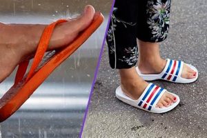 [Prefix] Slide Sandals vs Flip Flops: The Ultimate Guide to Choosing the Right Footwear [Suffix] | School Finder US: Find the Best Schools Near You – Compare & Explore Now