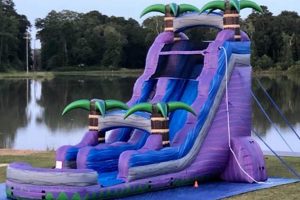Dive into Thrilling Adventures: Unforgettable Water Slide Parties School Finder US: Find the Best Schools Near You – Compare & Explore Now Dive into Thrilling Adventures: Unforgettable Water Slide Parties | School Finder US: Find the Best Schools Near You – Compare & Explore Now