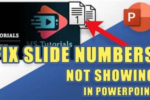 Resolve the Mystery: Why PowerPoint Slide Numbers are Missing School Finder US: Find the Best Schools Near You – Compare & Explore Now Resolve the Mystery: Why PowerPoint Slide Numbers are Missing | School Finder US: Find the Best Schools Near You – Compare & Explore Now