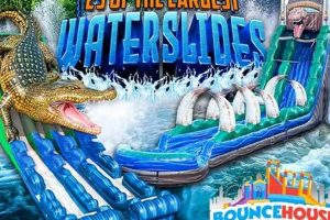 Top-Rated Water Slide Rentals in Atlanta, GA: Cool Off This Summer! School Finder US: Find the Best Schools Near You – Compare & Explore Now Top-Rated Water Slide Rentals in Atlanta, GA: Cool Off This Summer! | School Finder US: Find the Best Schools Near You – Compare & Explore Now