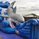 Dive into Excitement: Explore the Thrilling World of Shark Water Slides | School Finder US: Find the Best Schools Near You – Compare & Explore Now