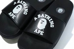 Discover the Ultimate Comfort and Style: Bape Slides for Men | School Finder US: Find the Best Schools Near You – Compare & Explore Now