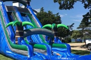 Experience Thrill and Excitement on a 24-Foot Water Slide School Finder US: Find the Best Schools Near You – Compare & Explore Now Experience Thrill and Excitement on a 24-Foot Water Slide | School Finder US: Find the Best Schools Near You – Compare & Explore Now