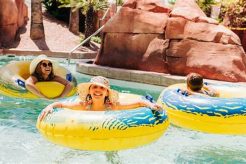 Unforgettable Water Slide Adventures at Arizona's Top Resorts | School Finder US: Find the Best Schools Near You – Compare & Explore Now