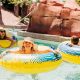 Unforgettable Water Slide Adventures at Arizona's Top Resorts | School Finder US: Find the Best Schools Near You – Compare & Explore Now