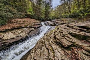 Experience the Thrill: Ohiopyle Water Slide Adventure School Finder US: Find the Best Schools Near You – Compare & Explore Now Experience the Thrill: Ohiopyle Water Slide Adventure | School Finder US: Find the Best Schools Near You – Compare & Explore Now