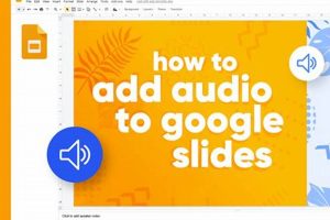 Elevate Your Presentations: How to Effortlessly Add Voice to Google Slides School Finder US: Find the Best Schools Near You – Compare & Explore Now Elevate Your Presentations: How to Effortlessly Add Voice to Google Slides | School Finder US: Find the Best Schools Near You – Compare & Explore Now