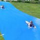 The Ultimate Backyard Thrill: Slip and Slide with a Refreshing Pool Finish | School Finder US: Find the Best Schools Near You – Compare & Explore Now
