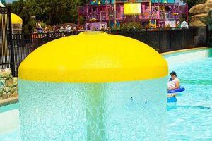 Dive into Summer Thrills: Discover Public Pools with Slides Near You School Finder US: Find the Best Schools Near You – Compare & Explore Now Dive into Summer Thrills: Discover Public Pools with Slides Near You | School Finder US: Find the Best Schools Near You – Compare & Explore Now