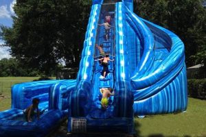 Giant Inflatable Water Slides: The Ultimate Summer Fun for All Ages School Finder US: Find the Best Schools Near You – Compare & Explore Now Giant Inflatable Water Slides: The Ultimate Summer Fun for All Ages | School Finder US: Find the Best Schools Near You – Compare & Explore Now