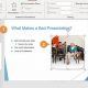 Animate Every Slide in PowerPoint: A Comprehensive Guide for Visual Impact | School Finder US: Find the Best Schools Near You – Compare & Explore Now