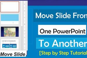 The Ultimate Guide to Moving PowerPoint Slides: Effortlessly Transfer Your Content School Finder US: Find the Best Schools Near You – Compare & Explore Now The Ultimate Guide to Moving PowerPoint Slides: Effortlessly Transfer Your Content | School Finder US: Find the Best Schools Near You – Compare & Explore Now