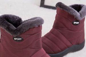 The Ultimate Guide to the Best Warm Winter Slide-On Shoes for Women School Finder US: Find the Best Schools Near You – Compare & Explore Now The Ultimate Guide to the Best Warm Winter Slide-On Shoes for Women | School Finder US: Find the Best Schools Near You – Compare & Explore Now