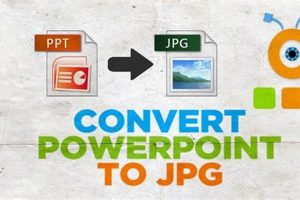 Effortlessly Convert JPGs to PowerPoint Slides for Dynamic Presentations School Finder US: Find the Best Schools Near You – Compare & Explore Now Effortlessly Convert JPGs to PowerPoint Slides for Dynamic Presentations | School Finder US: Find the Best Schools Near You – Compare & Explore Now