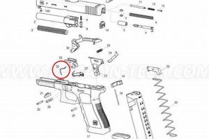 Ultimate Guide to Glock 19 Slide Lock Spring: Maintenance, Replacement, and More School Finder US: Find the Best Schools Near You – Compare & Explore Now Ultimate Guide to Glock 19 Slide Lock Spring: Maintenance, Replacement, and More | School Finder US: Find the Best Schools Near You – Compare & Explore Now