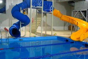 Thrill-Seeking Commercial Pool Slides: Enhance Your Waterpark Experience School Finder US: Find the Best Schools Near You – Compare & Explore Now Thrill-Seeking Commercial Pool Slides: Enhance Your Waterpark Experience | School Finder US: Find the Best Schools Near You – Compare & Explore Now